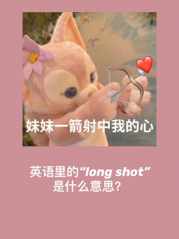 shot什么意思图片