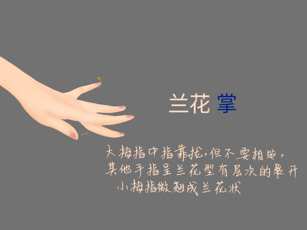1,兰花掌:大拇指和中指捏合,其余三指展开的手势