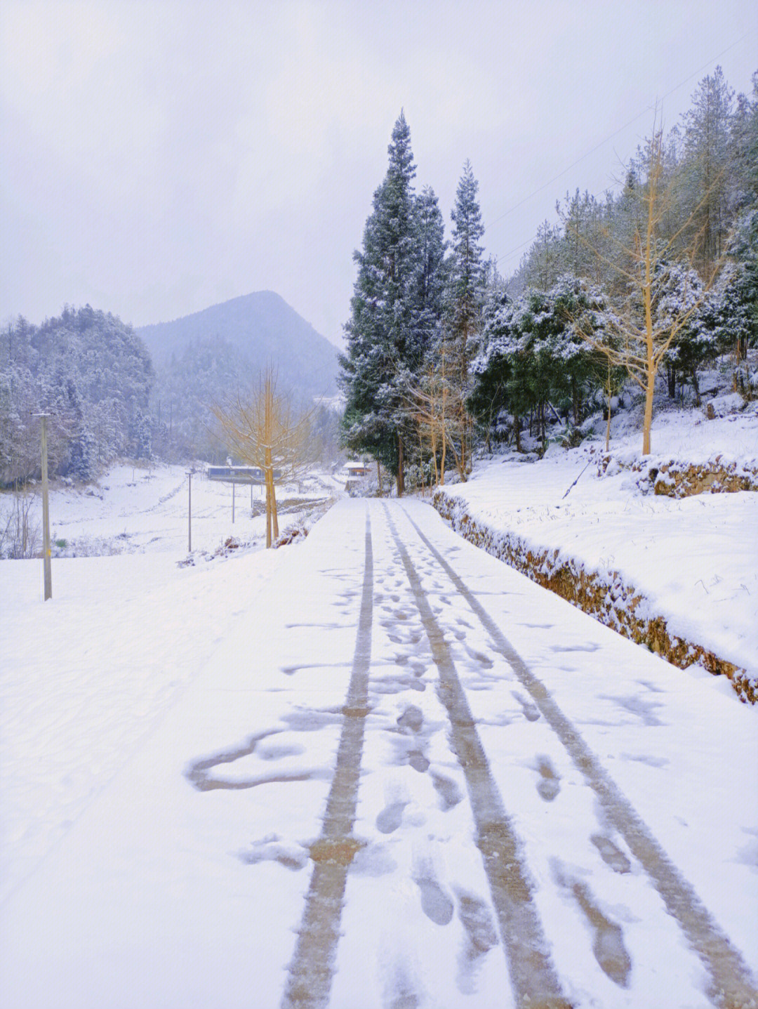 乡村雪景