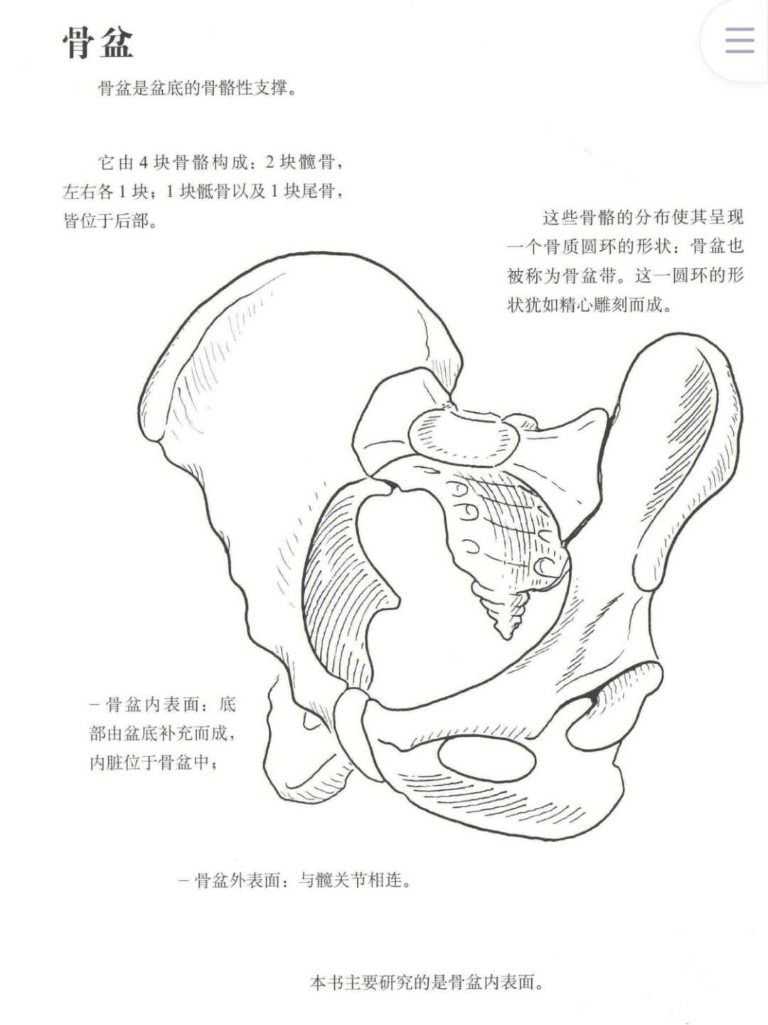 关于骨盆