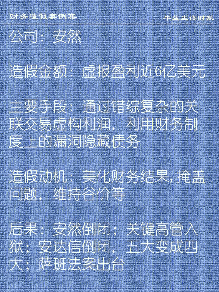 财务造假案例集b4安然