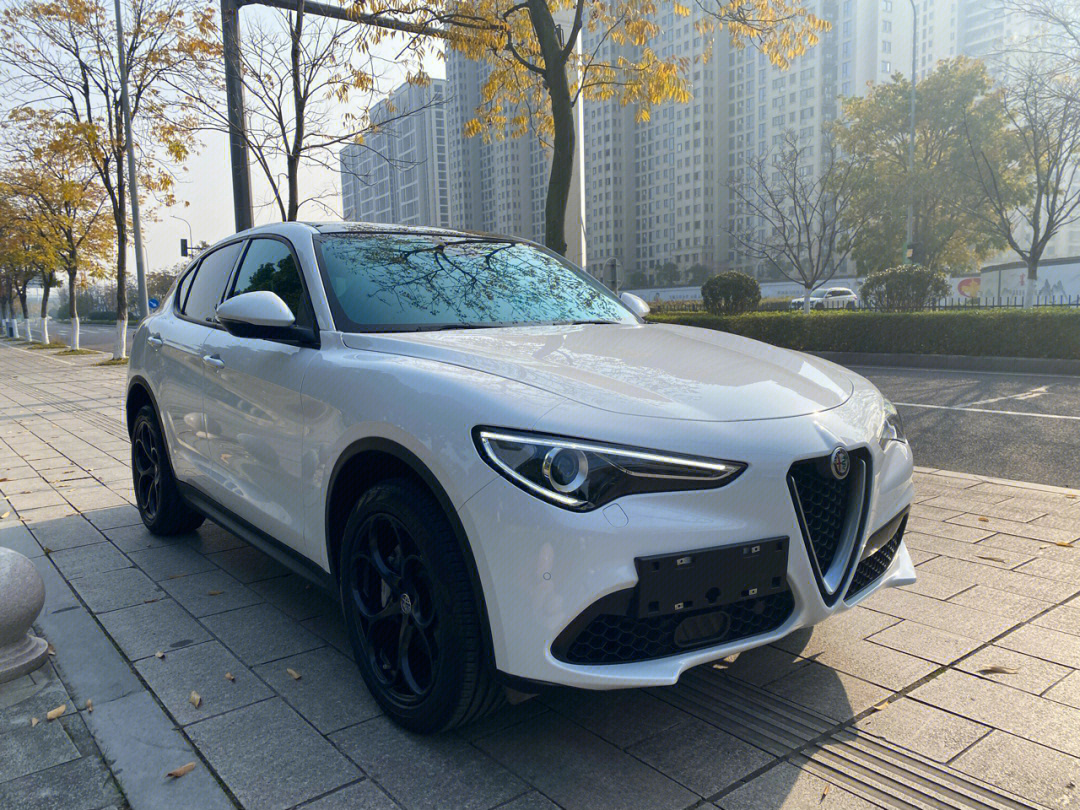 阿尔法罗密欧stelvio