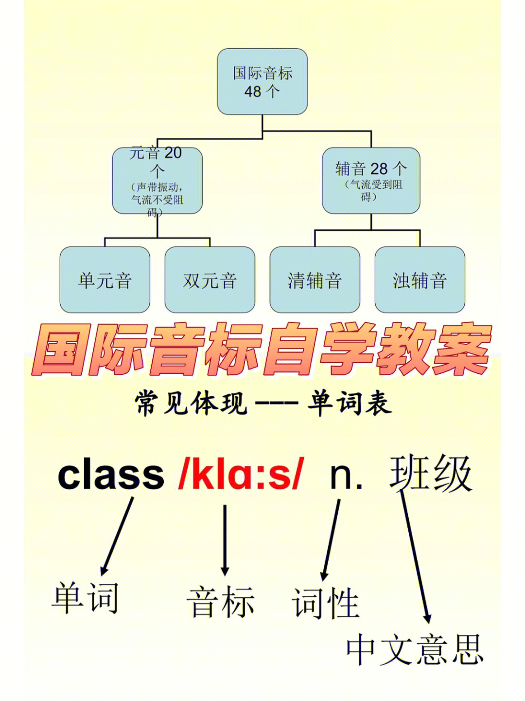 初一音标思维导图图片