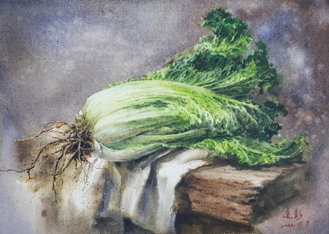 大白菜的水粉画法图片