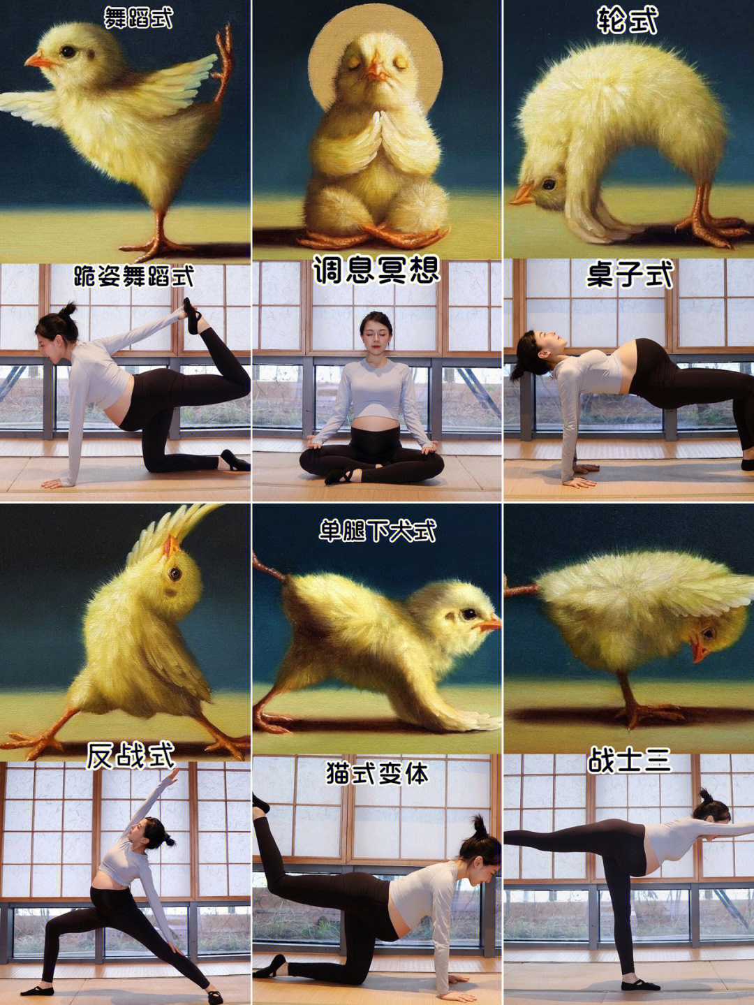小鸡瑜伽体式图片