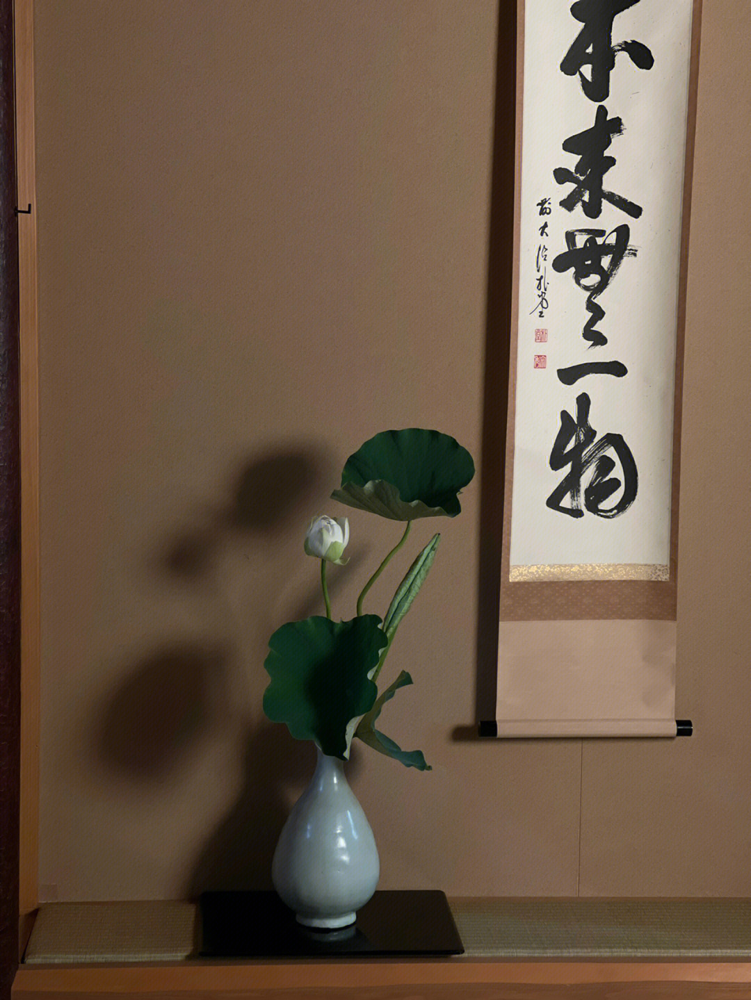 一期一会#我的日常#夏日荷花#茶室#茶生活#草庭#张南揽