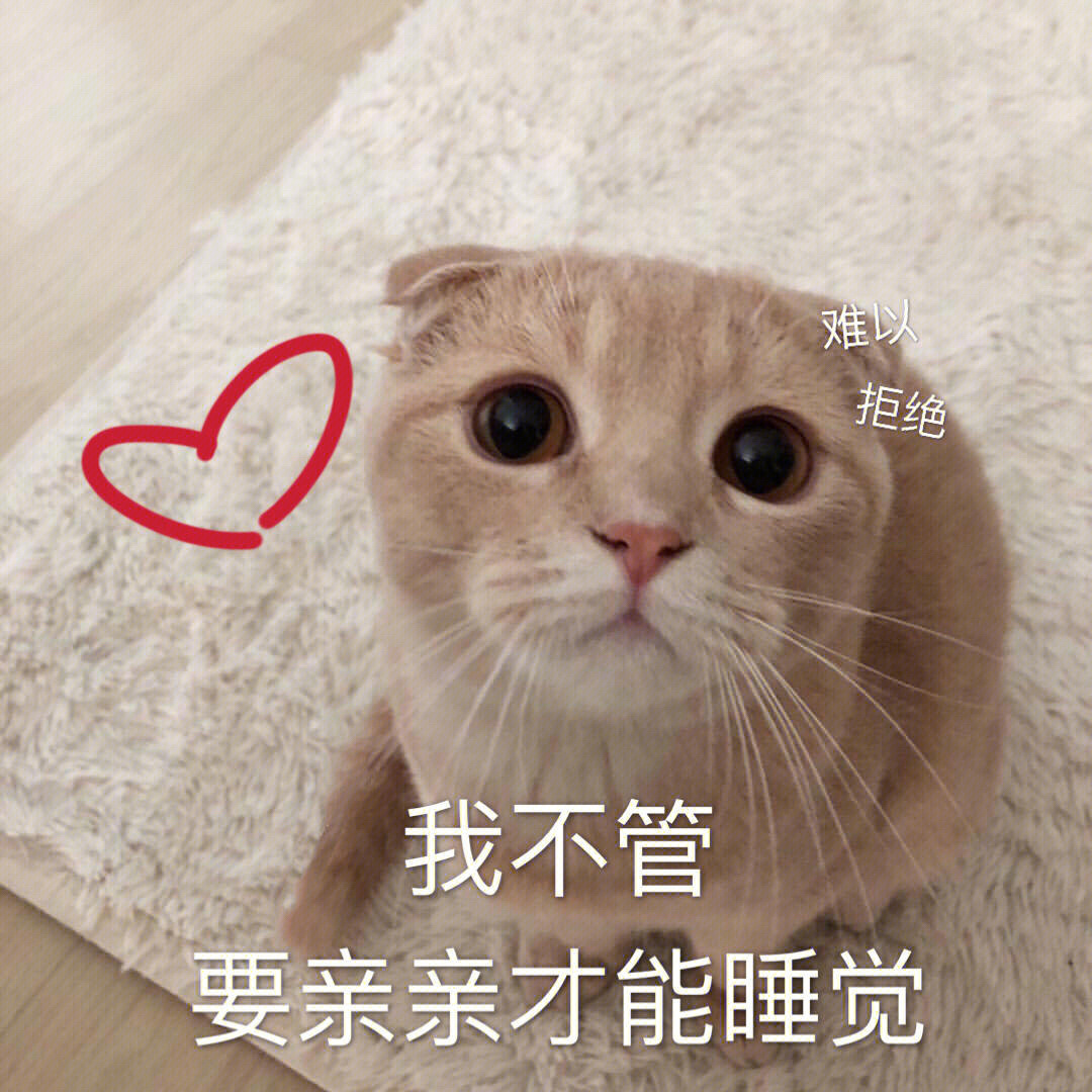 可爱的猫咪表情包