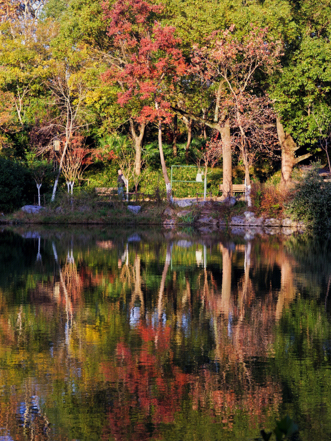 秋天的公园140字图片