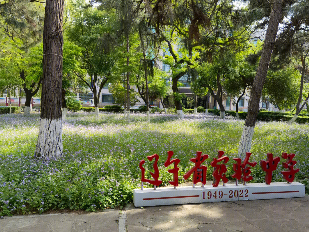 辽宁实验中学北校图片