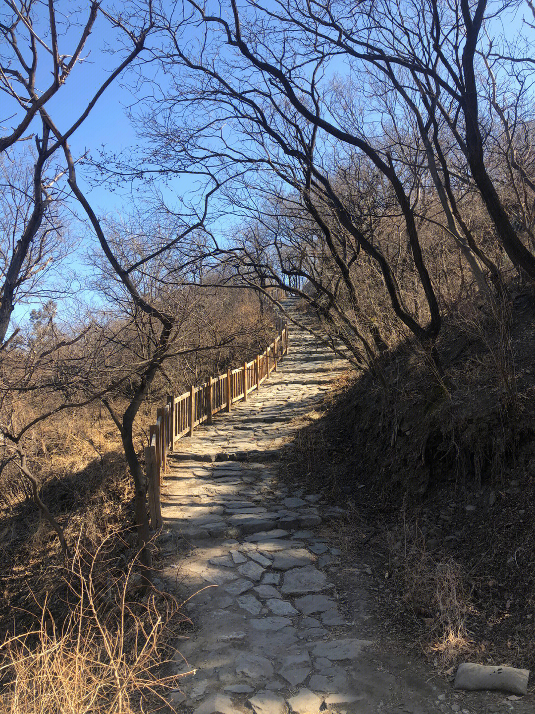 戒台寺休闲步道观塔林赏奇松望大佛