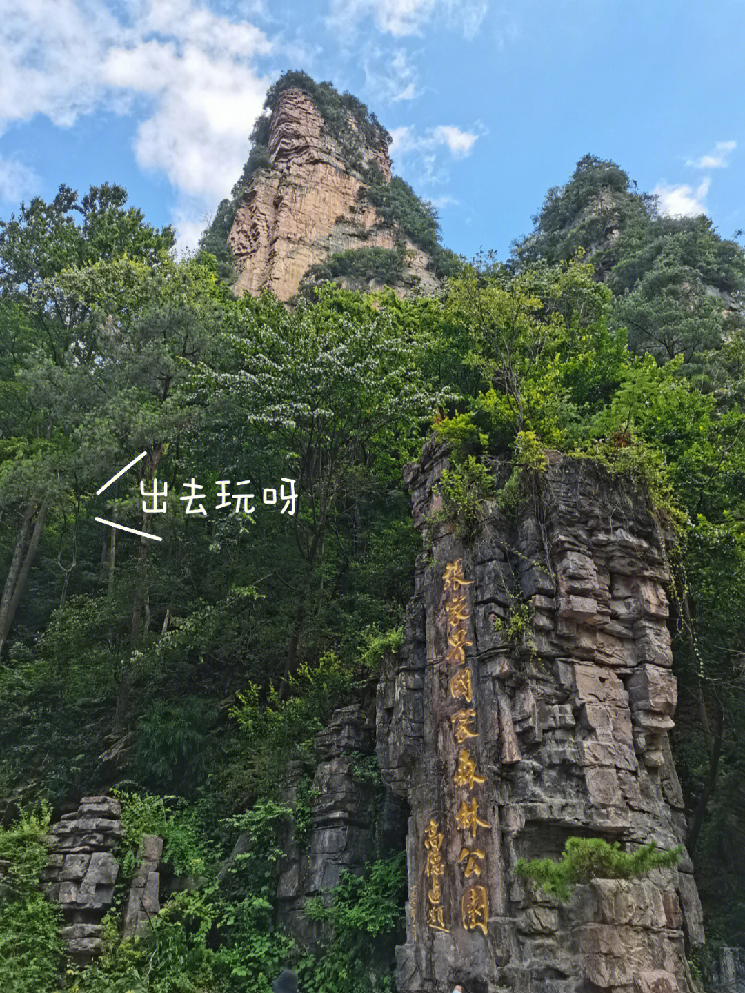 张家界三日游报名图片