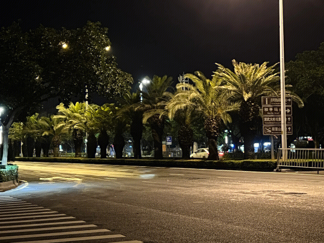 椰风寨夜景图片