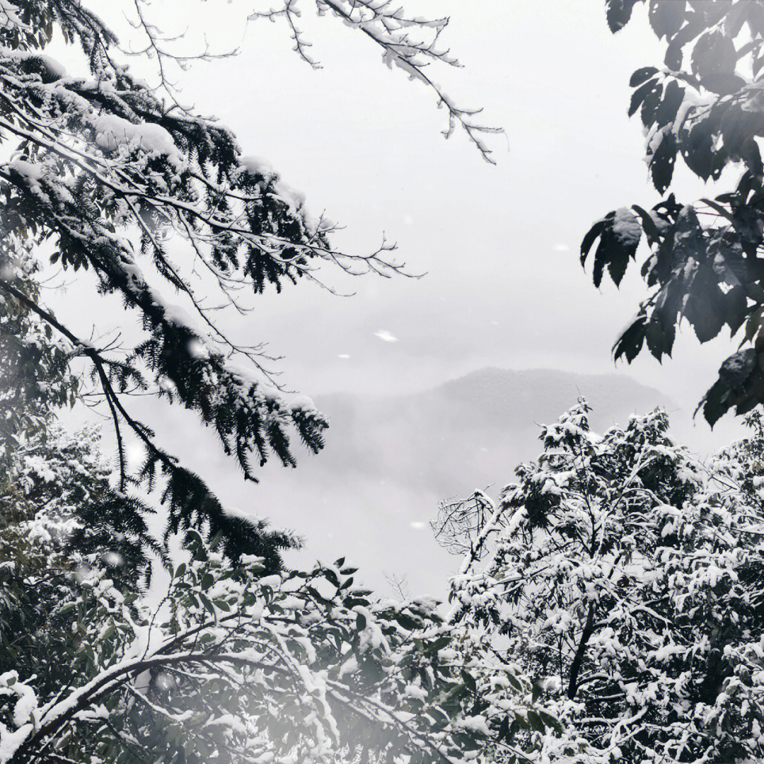 径山雪景