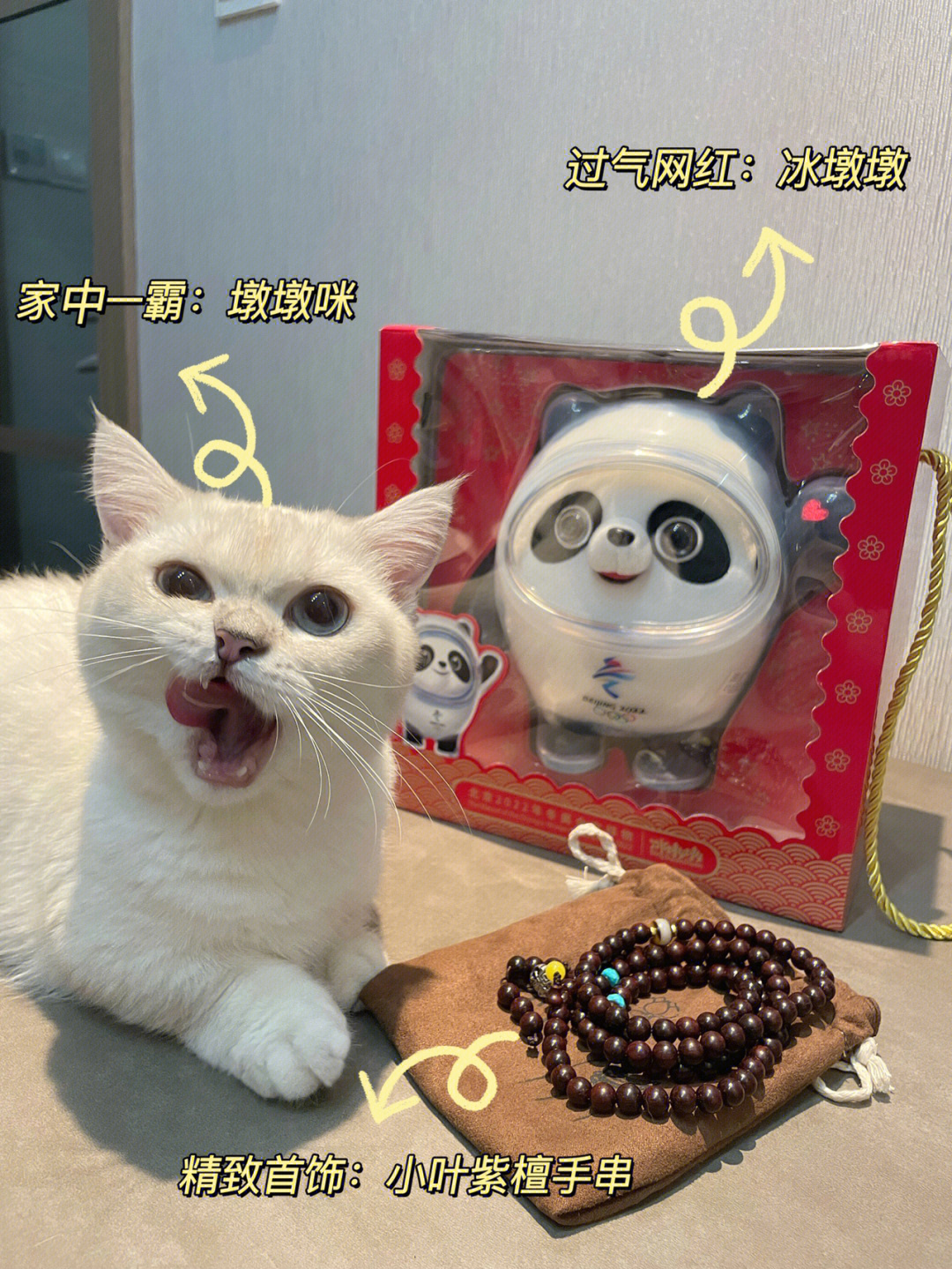 冬奥会吉祥物猫图片