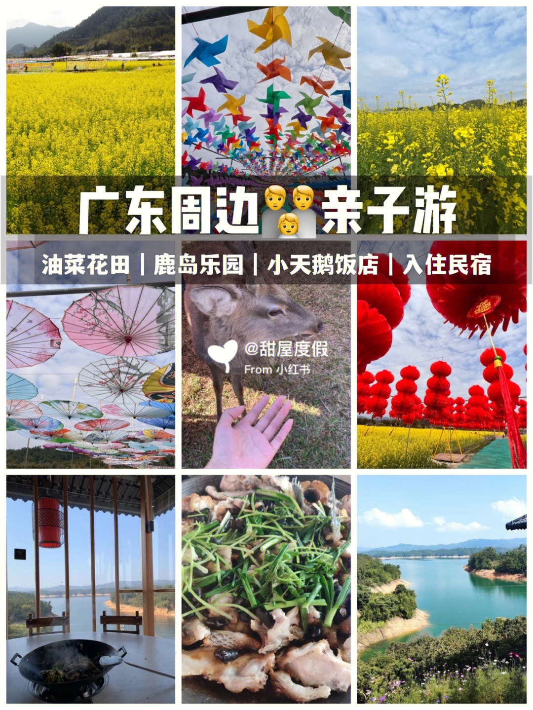 广东周边游从化亲子游油菜花77鹿岛乐园