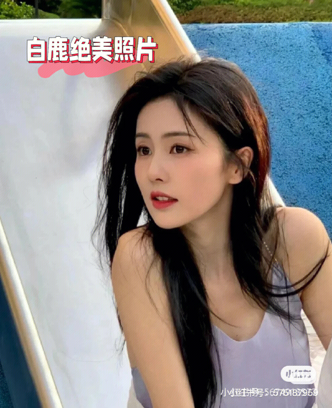 白鹿绝美照片