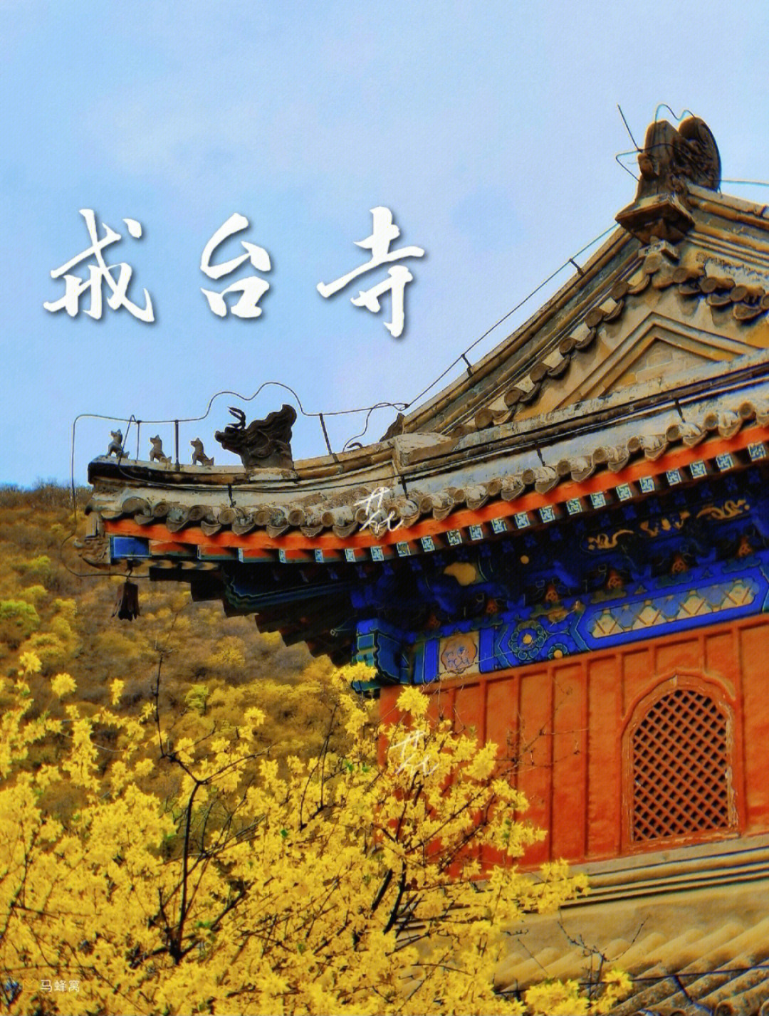 北京戒台寺西游记图片