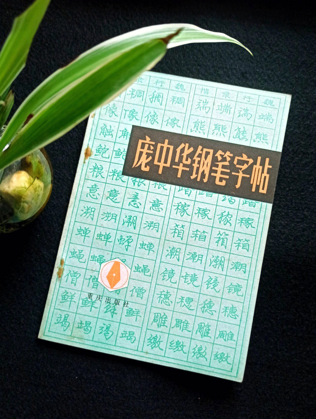 哪本钢笔字帖比较好庞中华钢笔字帖