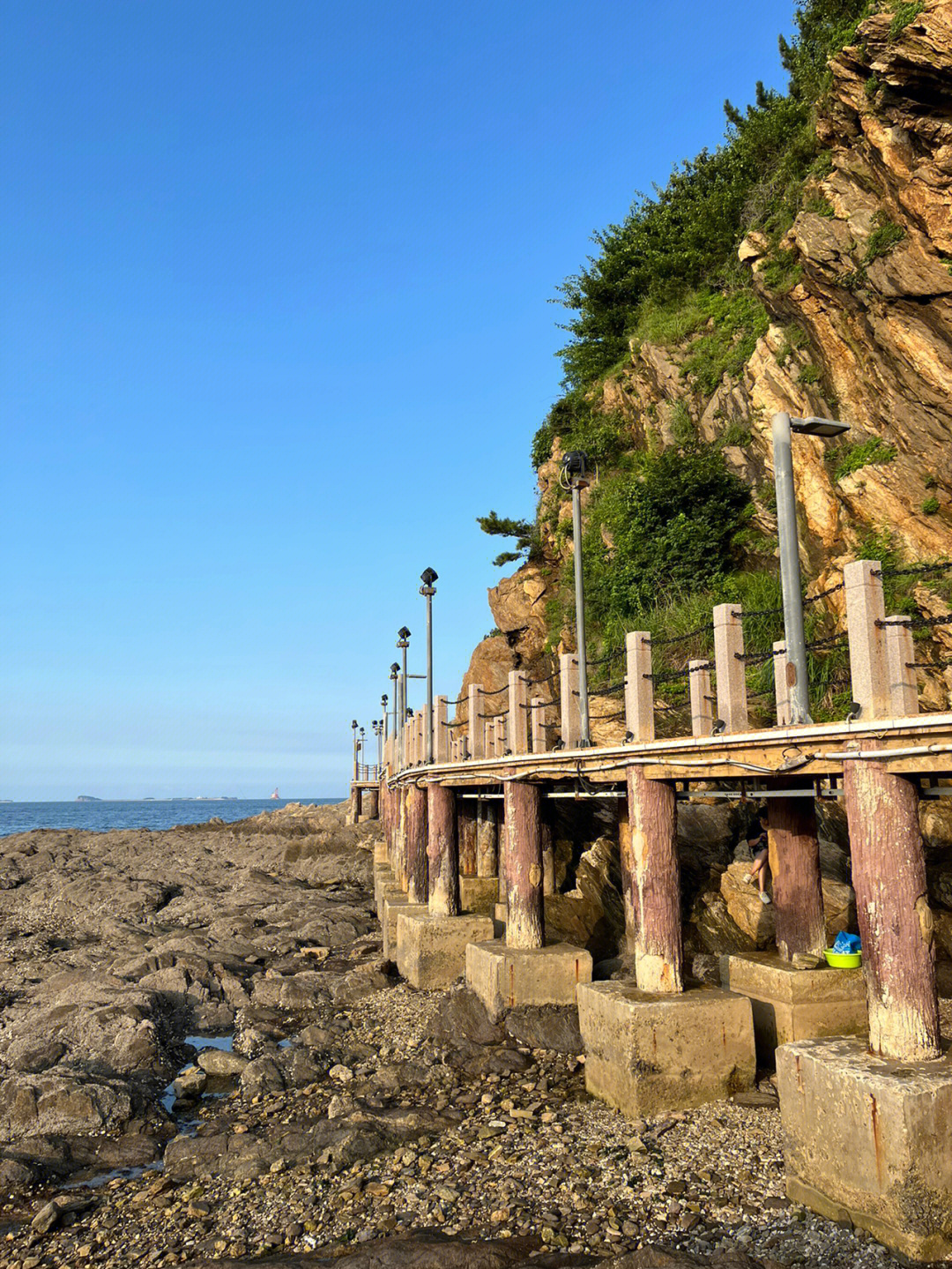 小志赶海图片