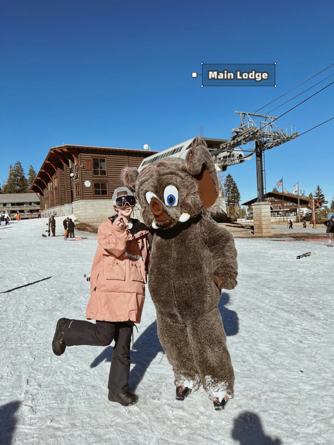 mammothlake带狗滑雪