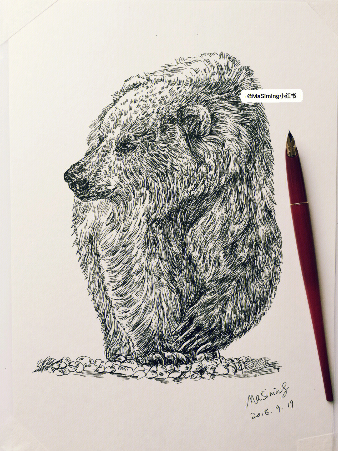 动物钢笔画临摹清晰图图片