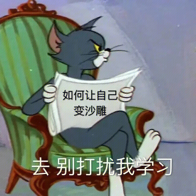 猫和老鼠看书头像图片