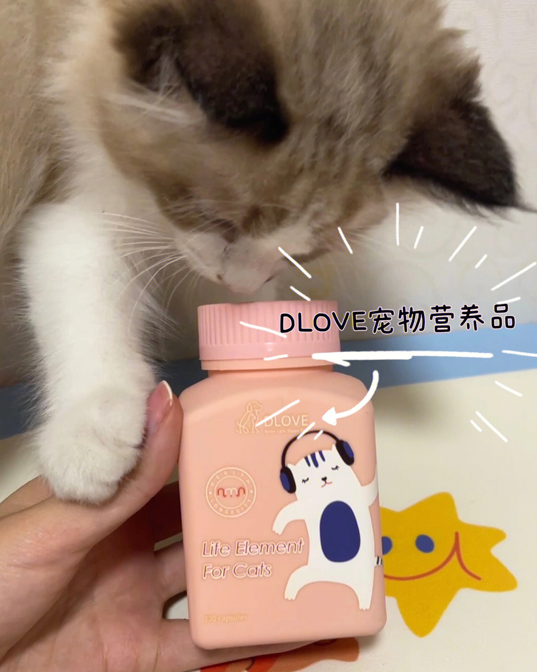 dlove生命元你给猫咪安排了吗71