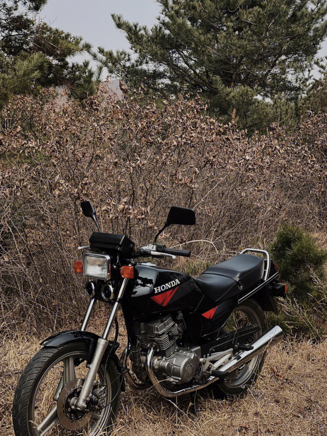 hondacb125t本田王