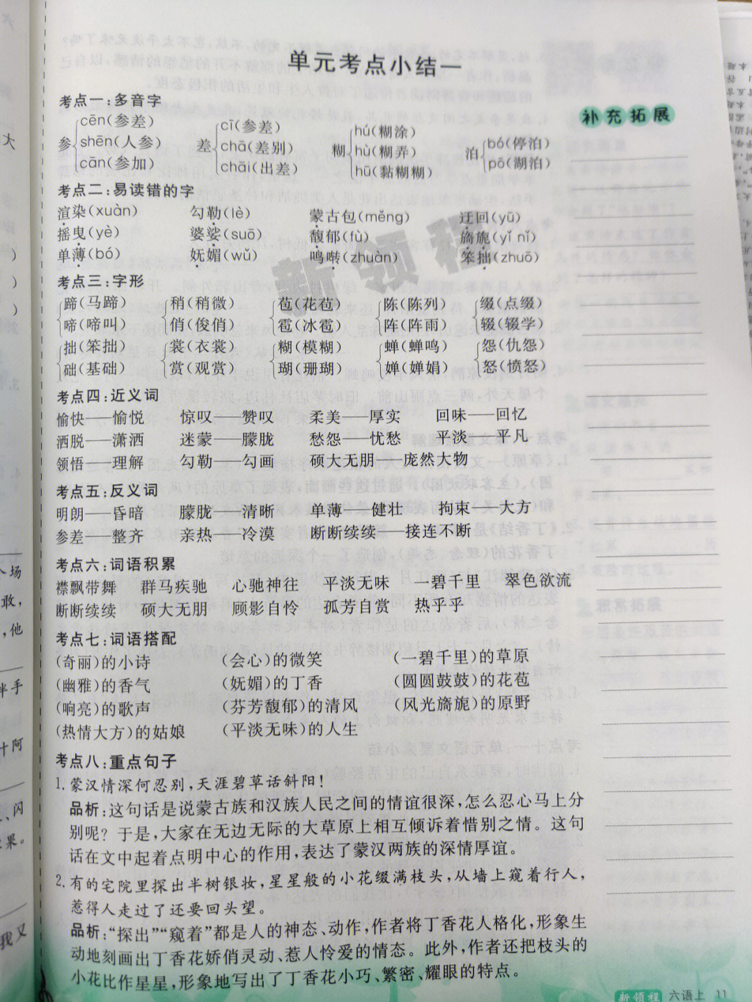 六年级上册单元复习