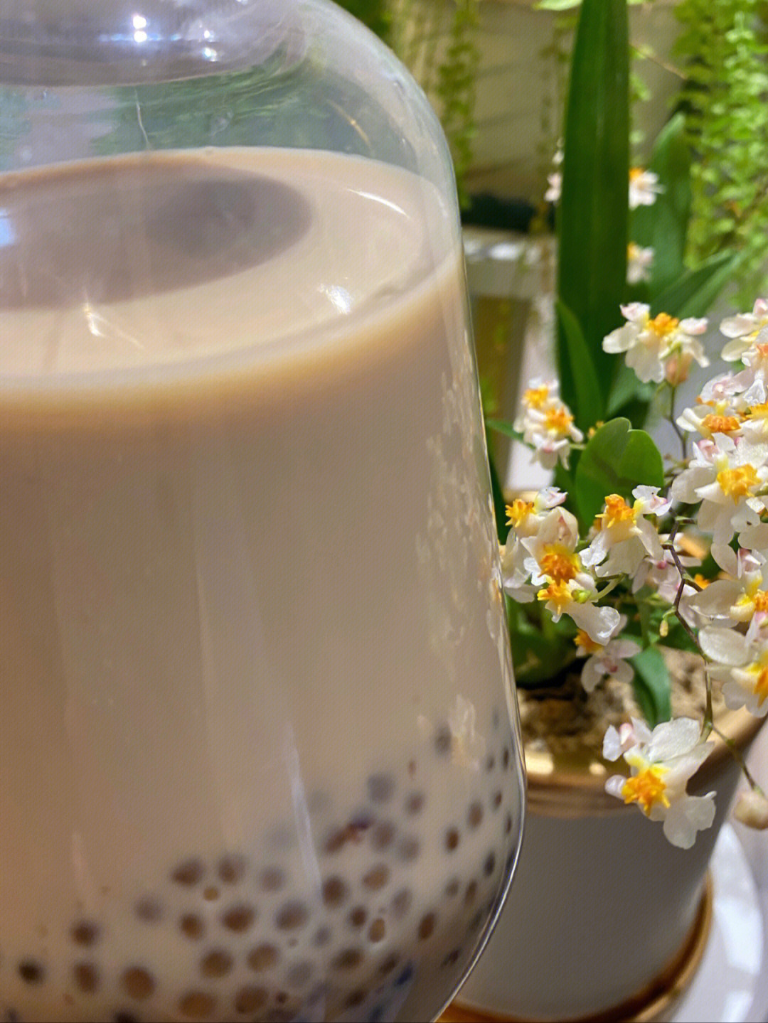 料多多的奶茶芋泥紫米西米燕麦红豆