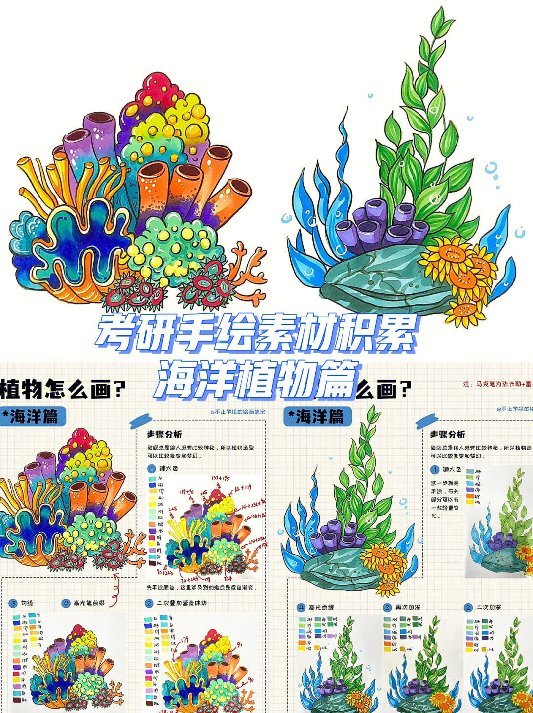 海洋植物的文章图片