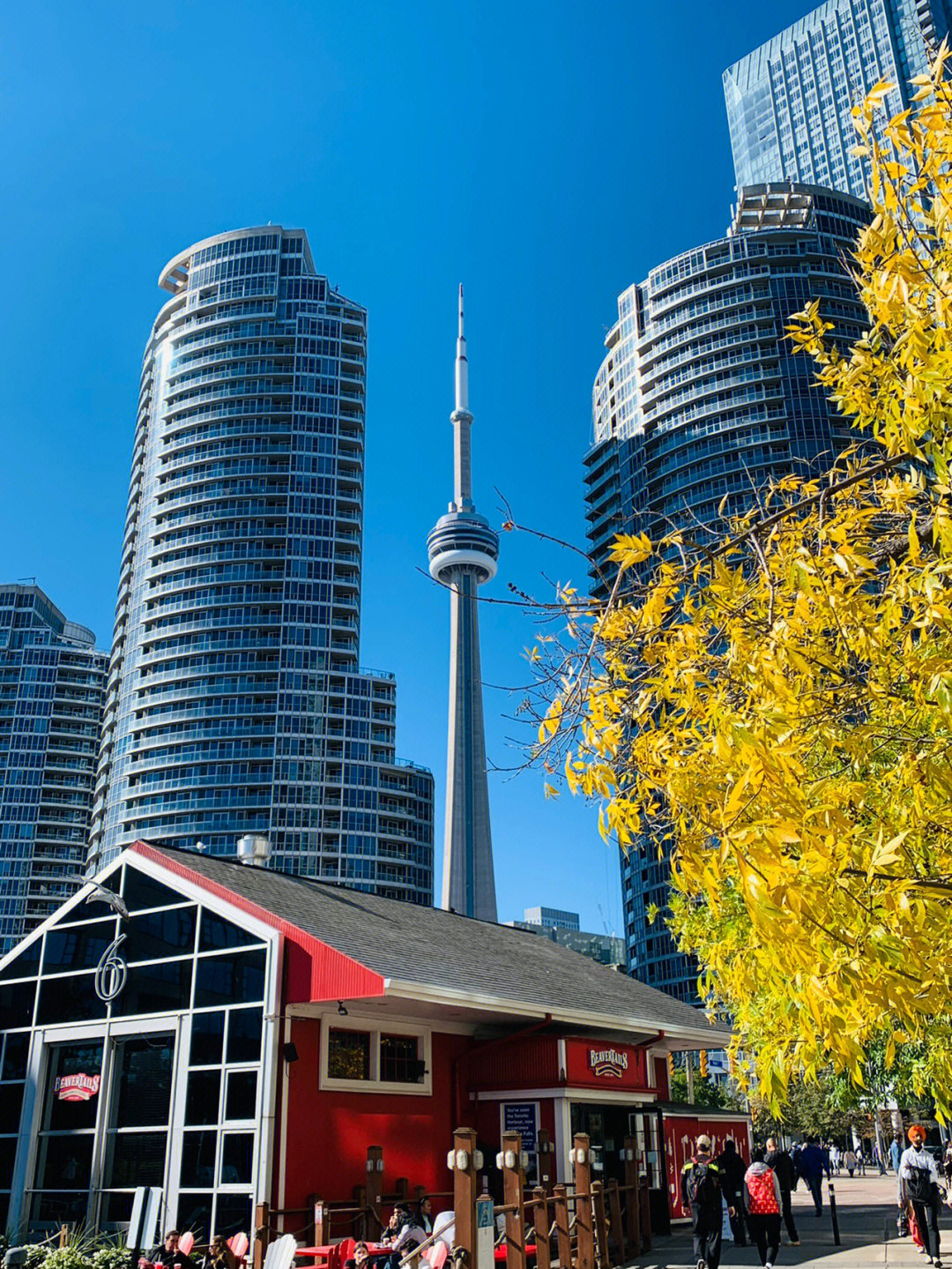 湖边漫步cntower