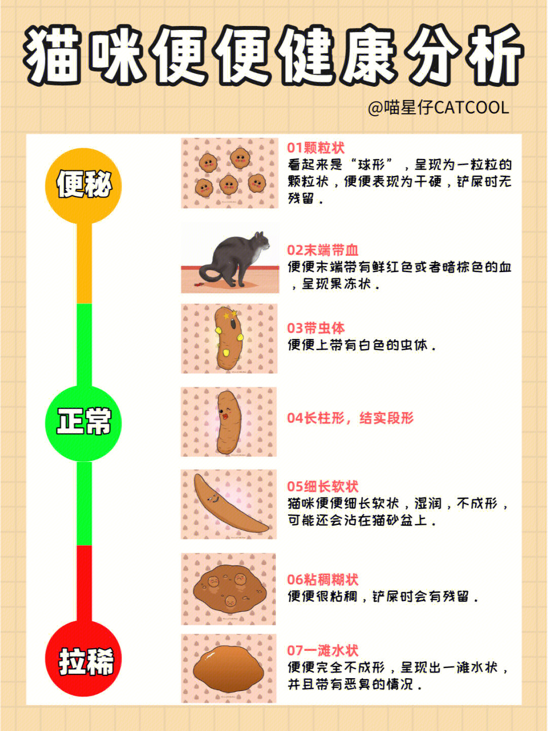 小猫粪便正常形态图片