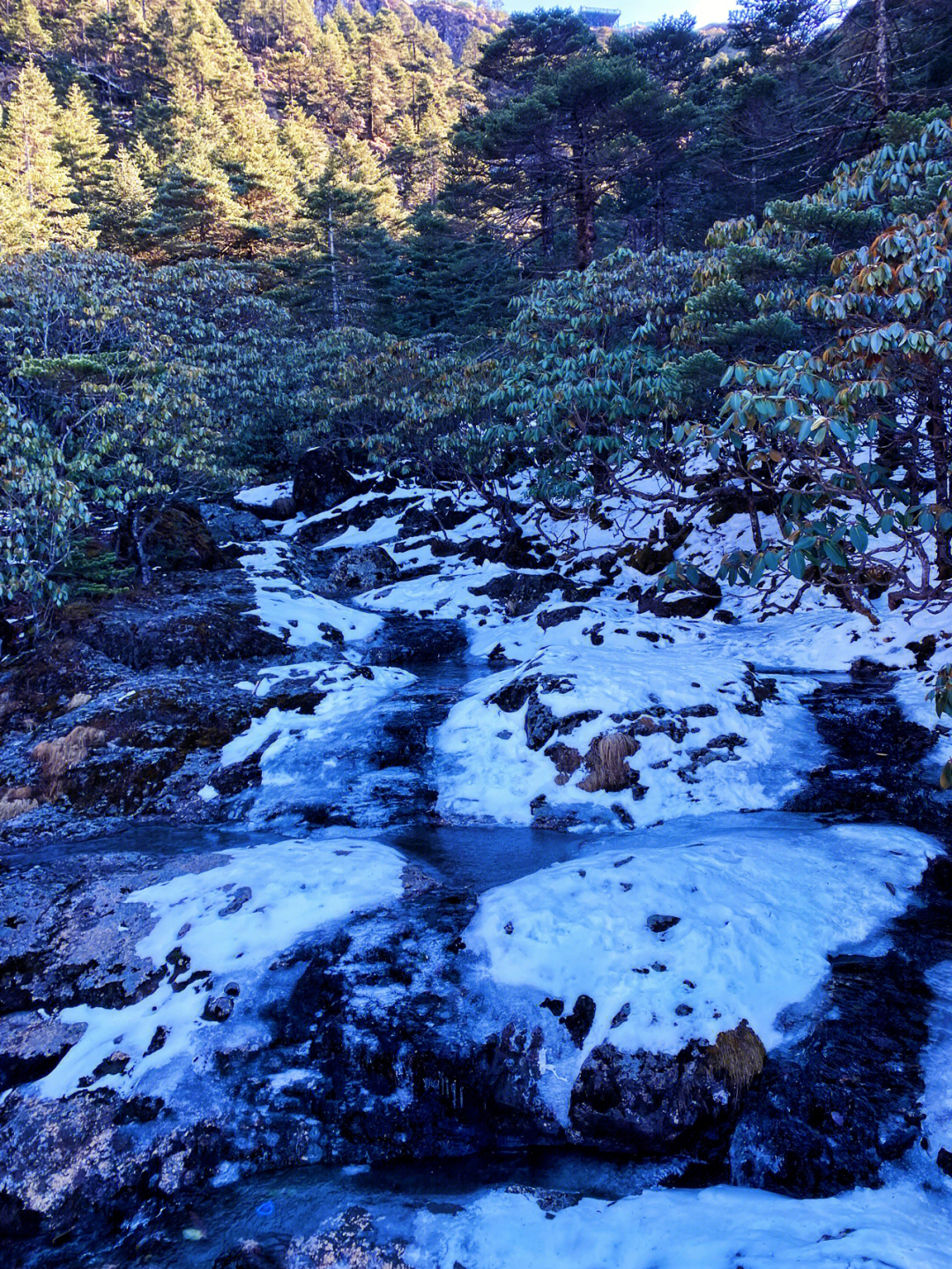 轿子雪山地理位置图片