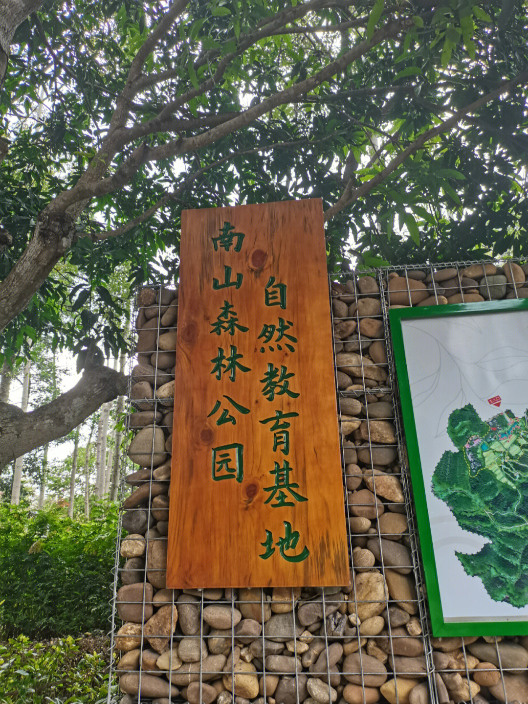 云浮南山森林公园