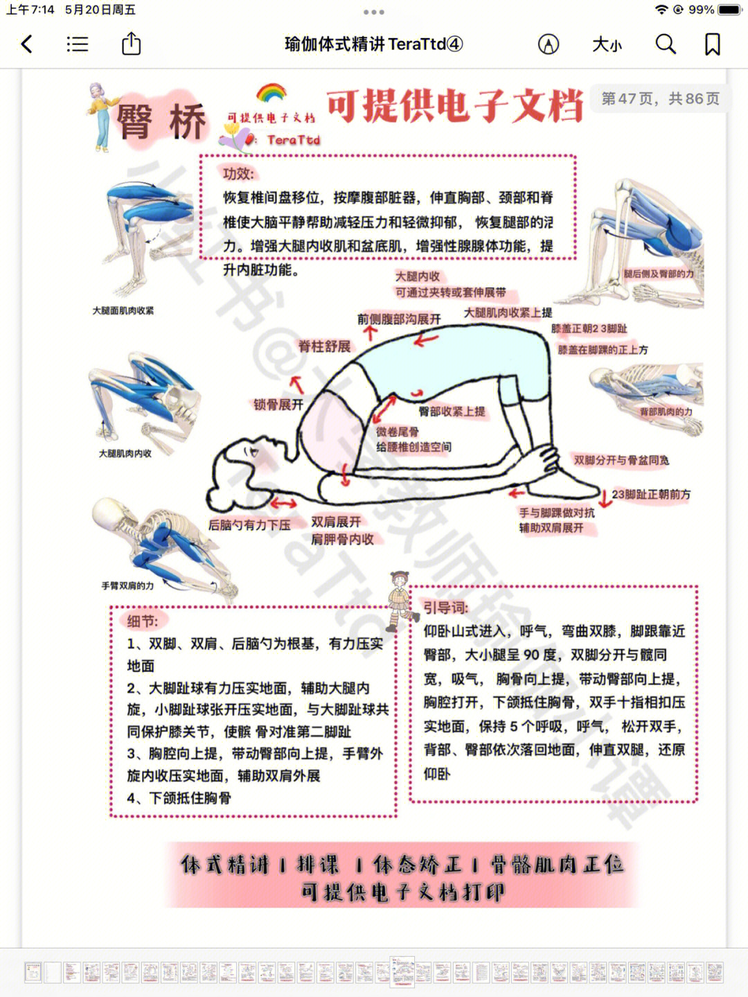 瑜伽体式笔记干货臀桥细节你做对了吗63