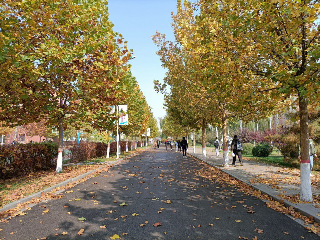 大学校园风景