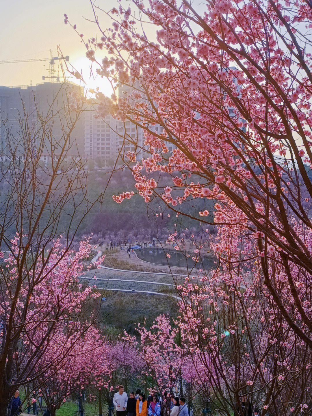 春日记忆钢琴谱图片