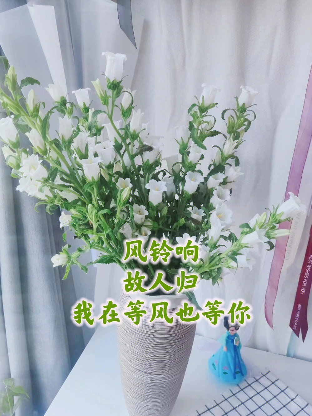 关于风铃花的古诗图片