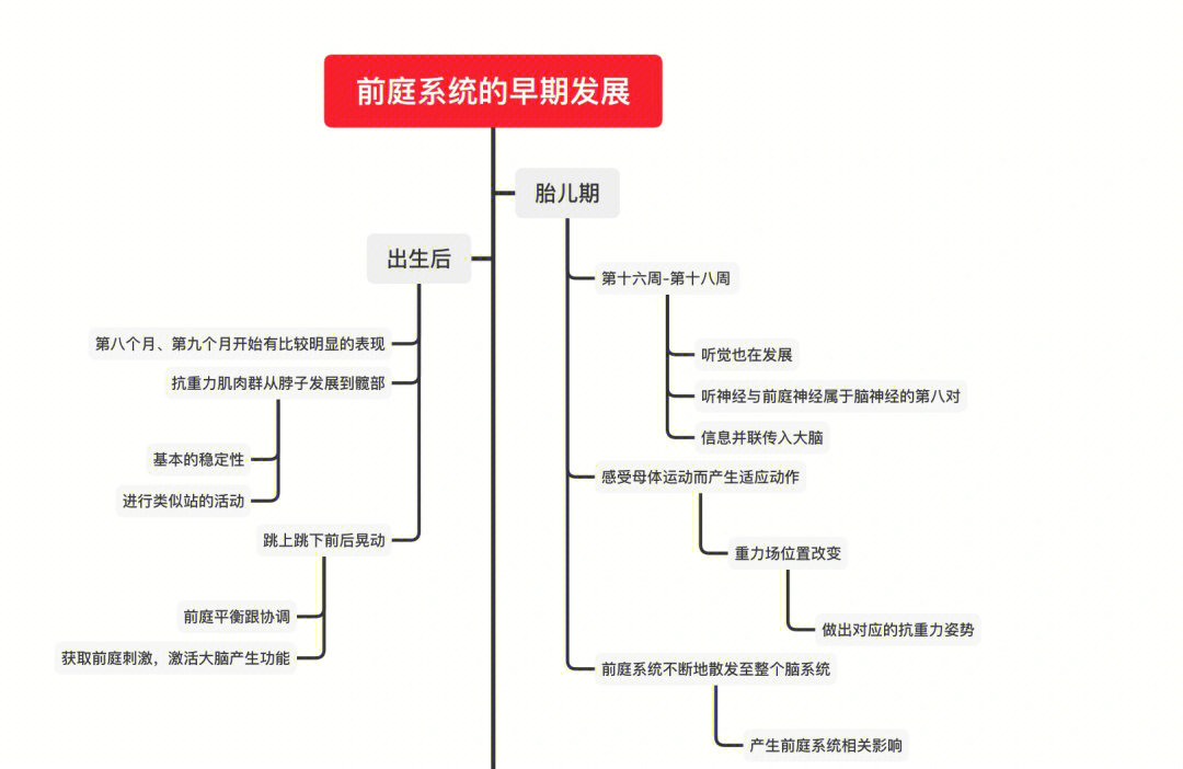 前庭发育不良图片