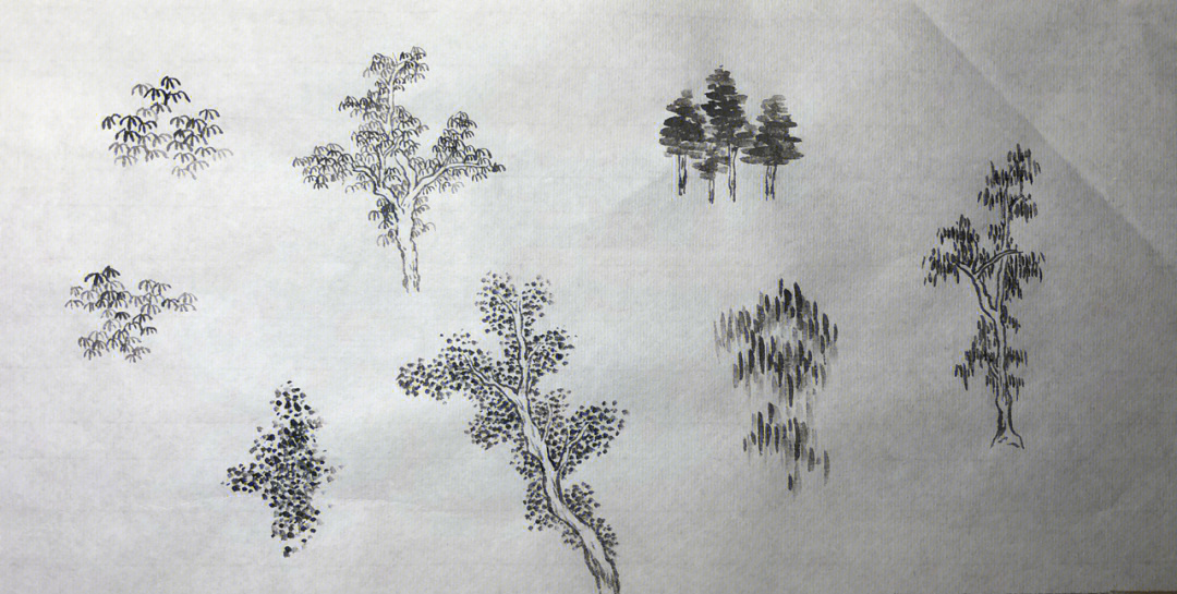 国画杂树林的画法图片