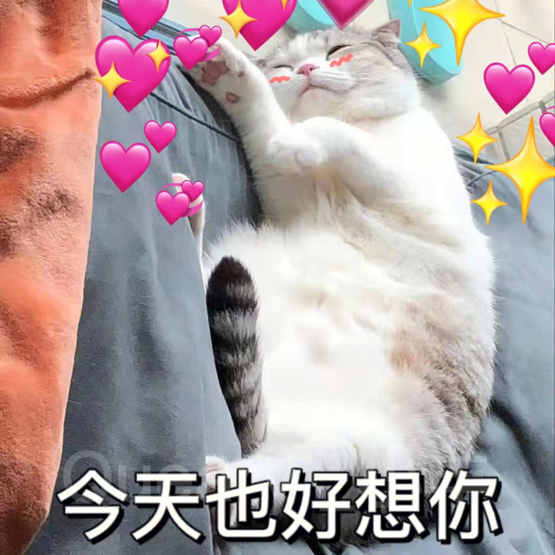 情侣表情包第三弹