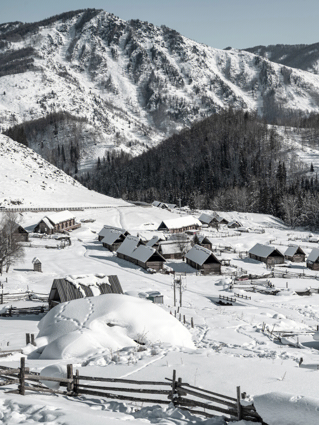 新疆禾木的雪应该是全中国最好的雪