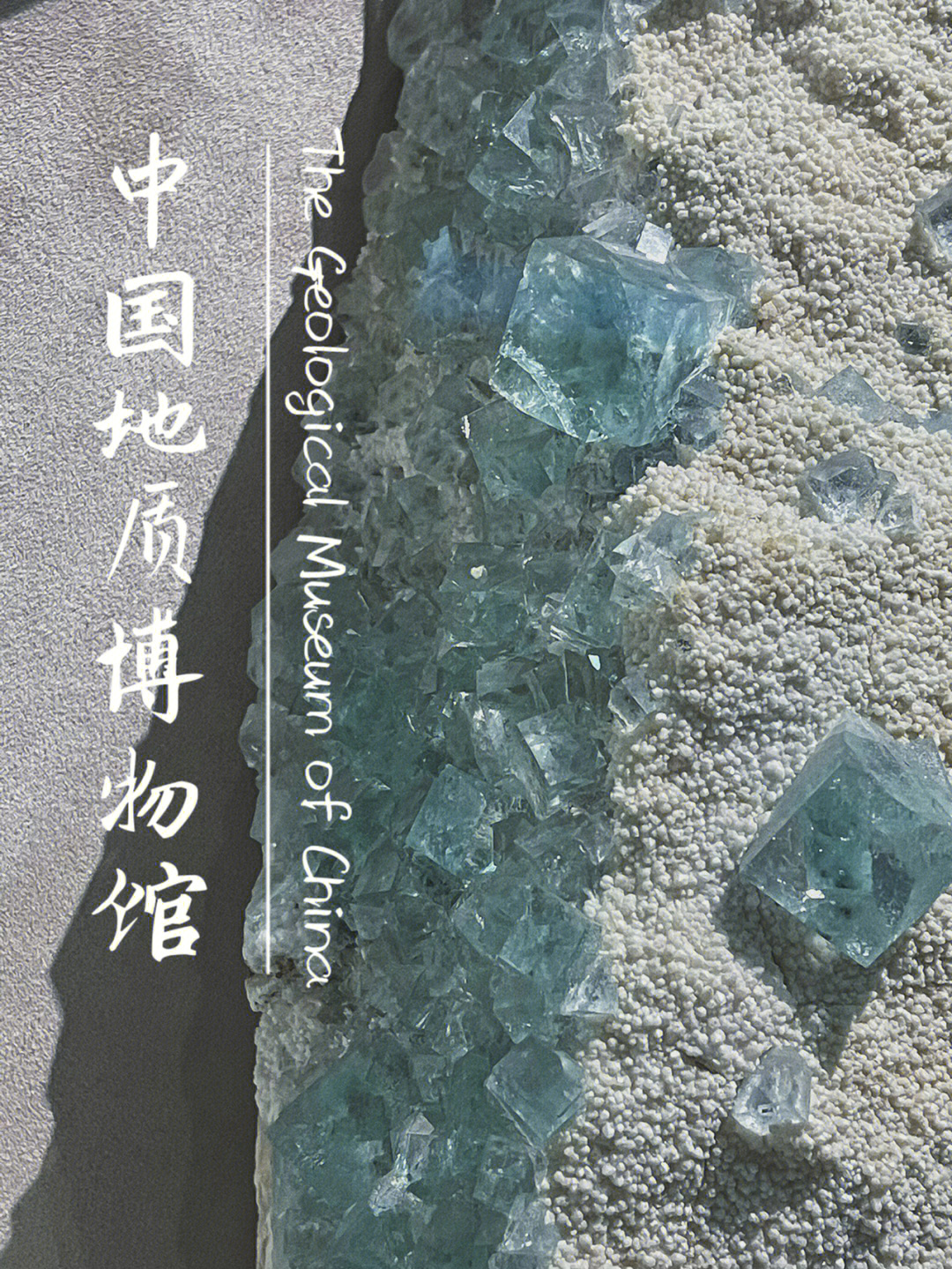中国地质博物馆水晶狂热爱好者打卡
