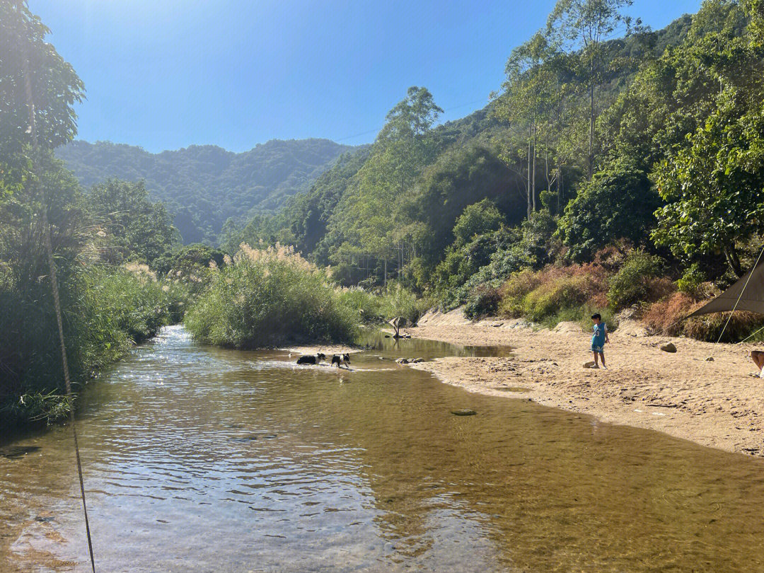 广州周边够野人又少的玩水地水美村