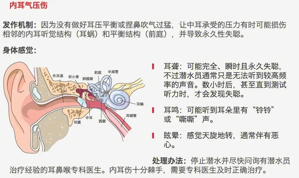 鼓室图正常值A型图片