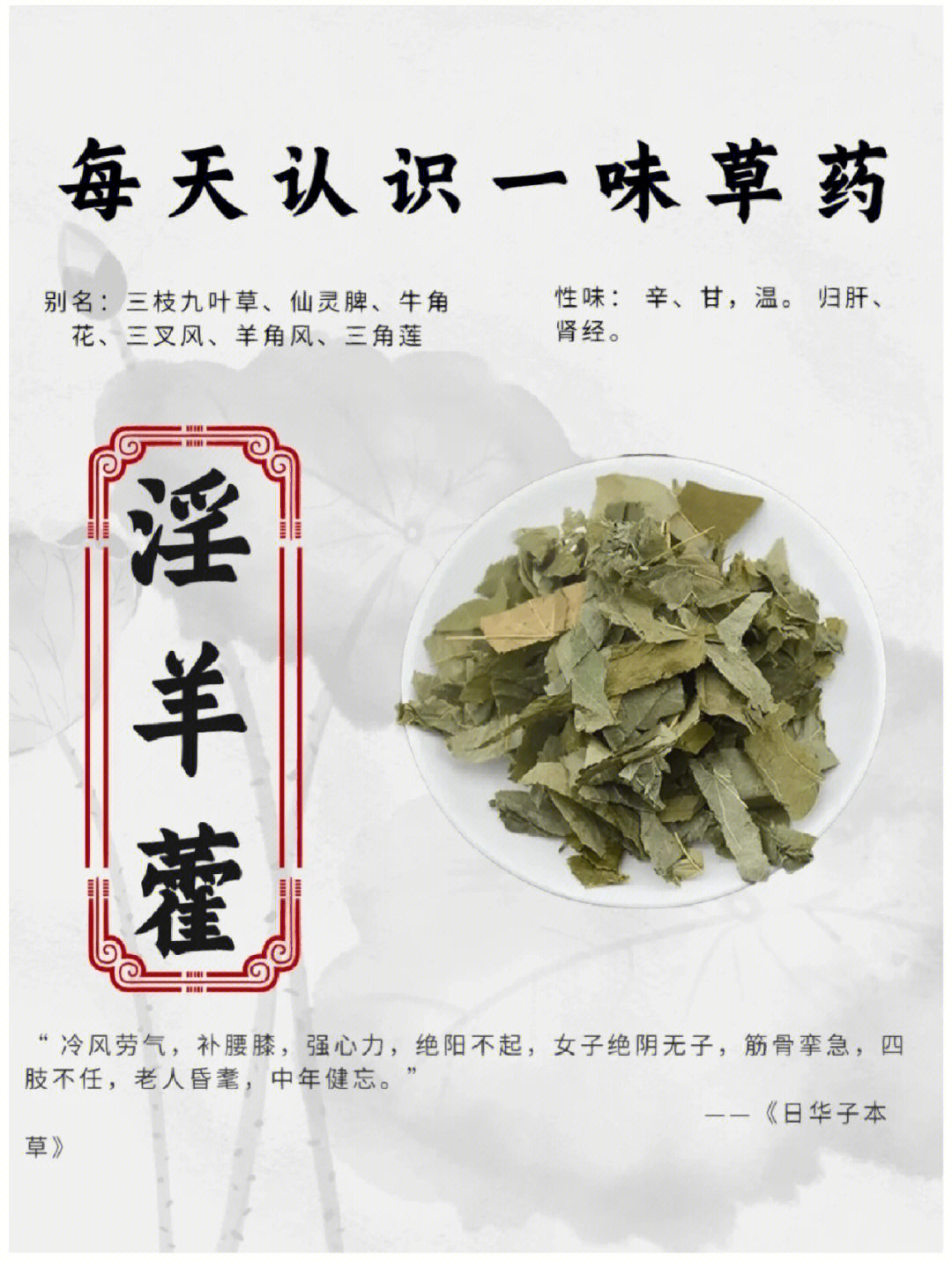 红景天的作用及疗效_红景天的药效与作用_红景天的功效与作用及食用方法