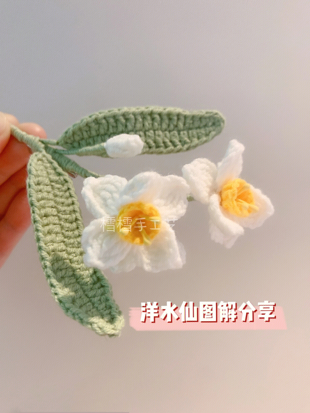 各种水草花样钩法图片