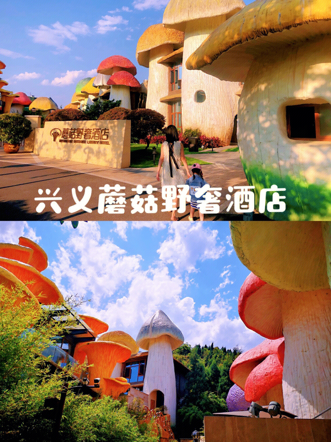 贵阳蘑菇城图片