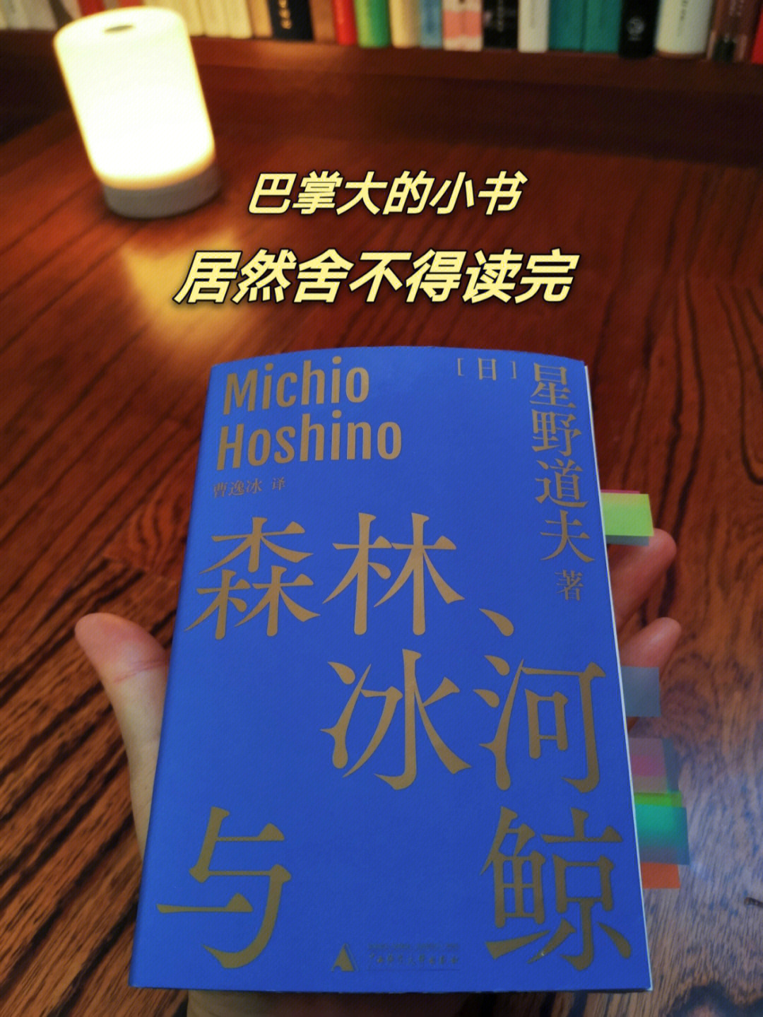 豆瓣90森林冰河与鲸